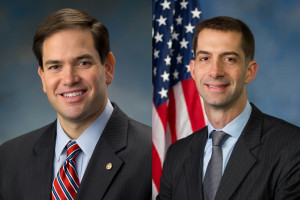 Senators Marco Rubio and Tom Cotton are leading an effort to persuade the new GOP Senate and GOP controlled House to cut the Sequester Cuts in the military budget, so hurtful to America's armed services.